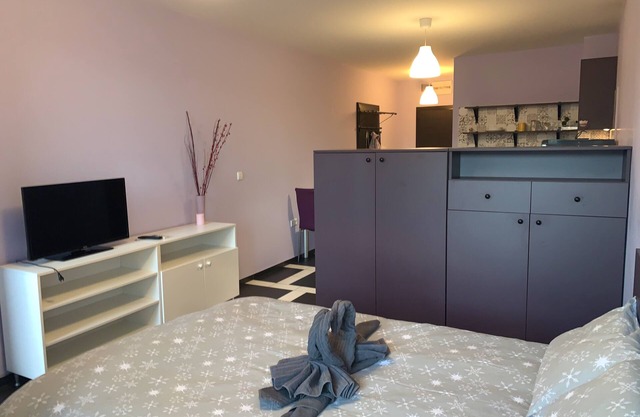Cozy apartment, 20 min from Sofia City Centre