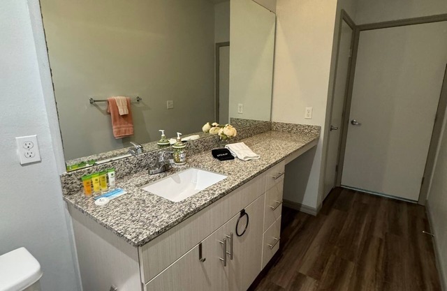 Cozy apartment near Disney World