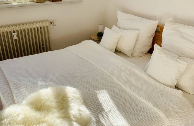 Cozy apartment near the university: with double bed, kitchenette and bathroom