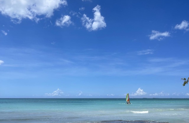 Cozy apartment on one of the best beaches in the Dominican Republic