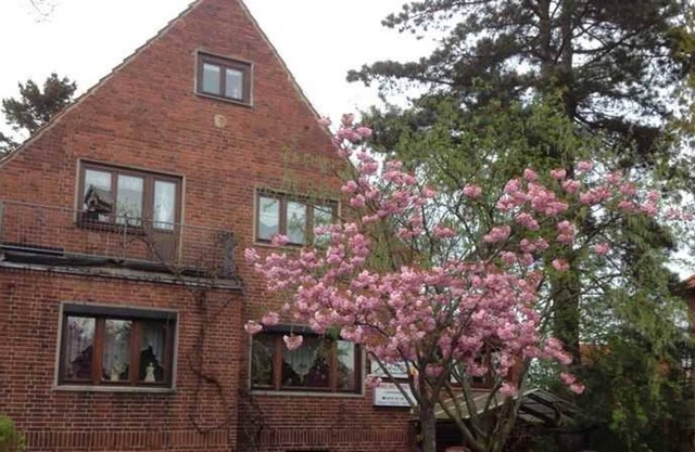 Cozy apartments in the Barlach town of Güstrow - Apartment Groß