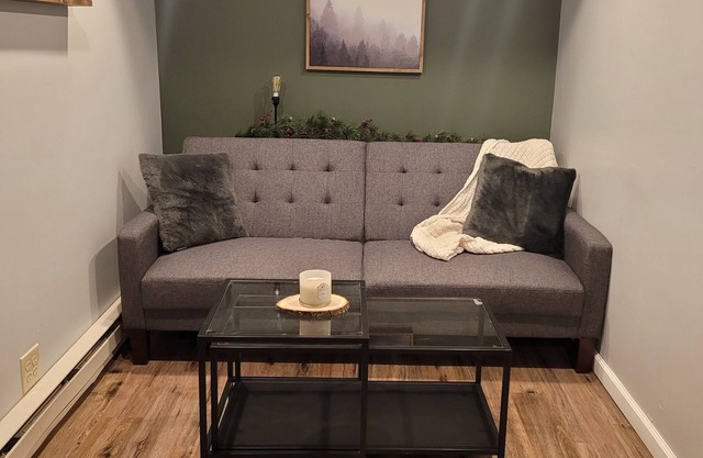 Cozy Basement Apartment (With Private Entrance)