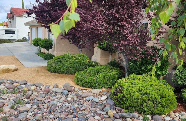 Cozy -bedroom house in charming Palmdale with AC