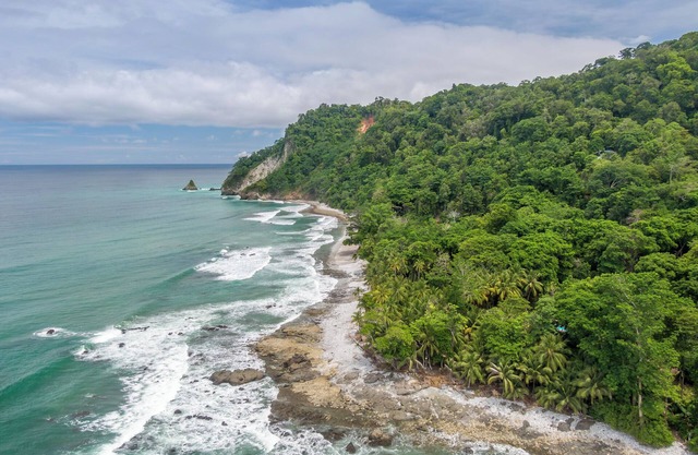 Cozy cabin 200 meters from Cabo Matapalo Beach