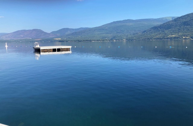 Cozy cabin in amazing Eagle Bay with WiFi and AC