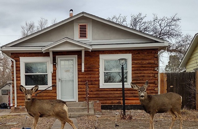 Cozy Cabin Near Royal Gorge Route Railroad - Full Kitchen, WiFi, Dog-Friendly