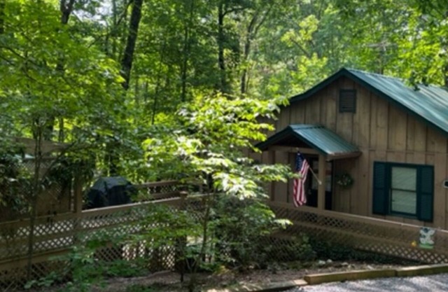 Cozy cabin nestled in woods and close to Downtown Blue Ridge!