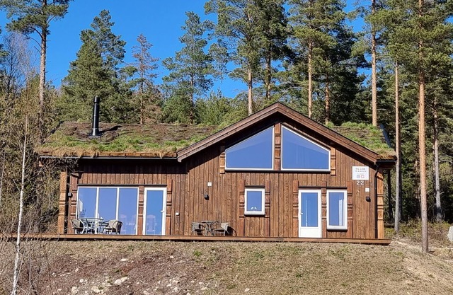 Cozy cabin
