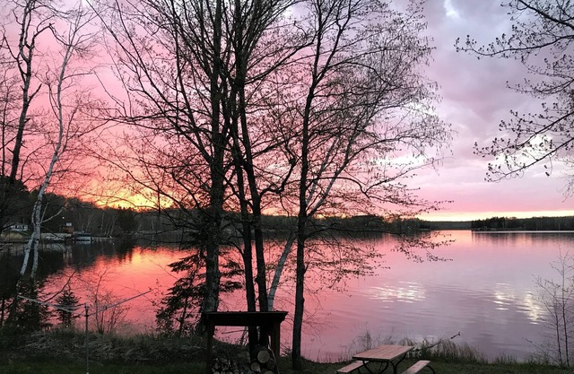 Cozy Cabin on Nelson Lake