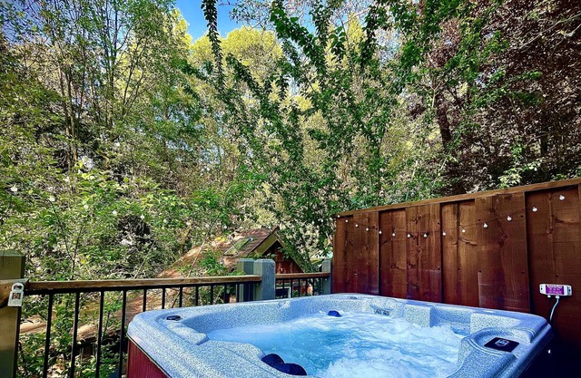 Cozy Cabin w/ Views-HOT TUB! Family Dog Friendly!