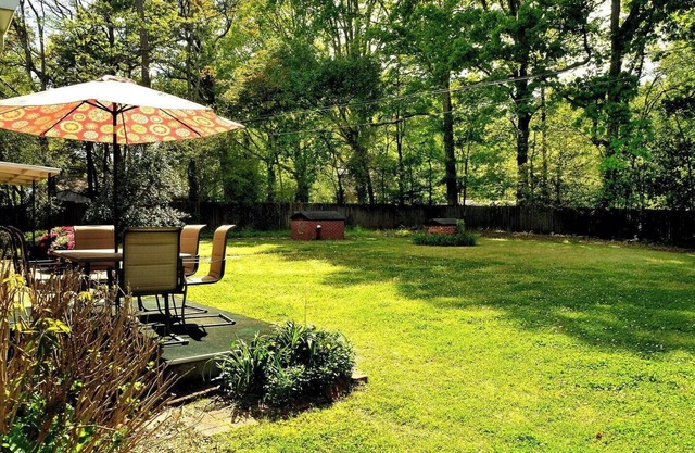 Cozy Charlotte Home near 485