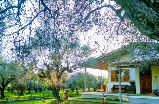 Cozy cottage in Nafpaktos for travelers and dreamers