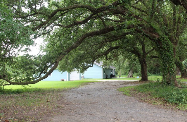 Cozy Cottage near the lake (Big Lake, LA)