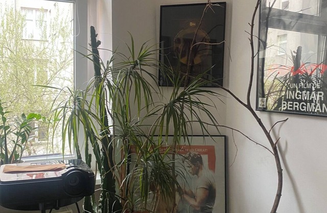 Cozy Design Cinema Flat in Winskiez