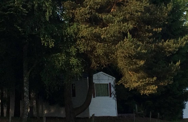 Cozy Eifel cottage "Under the birch"