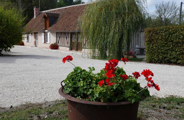 Cozy Farmhouse with Terrace, Near Loire Castles & Cycling Routes