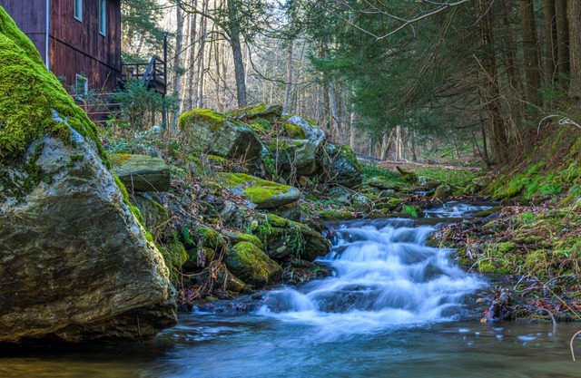 Cozy Four Season Lodge