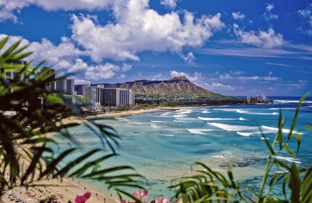 Cozy Hawaiian Monarch Condo by RedAwning