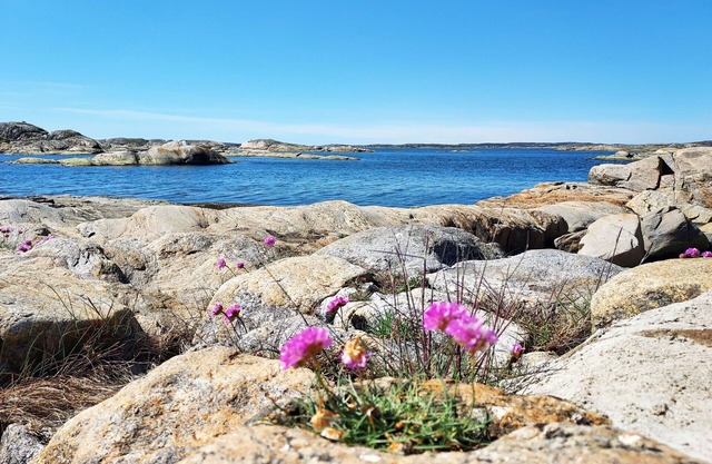Cozy holiday home near the sea in Kärna | SE09045