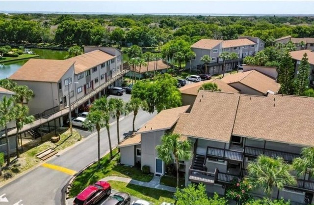 Cozy Home Tampa bay area!