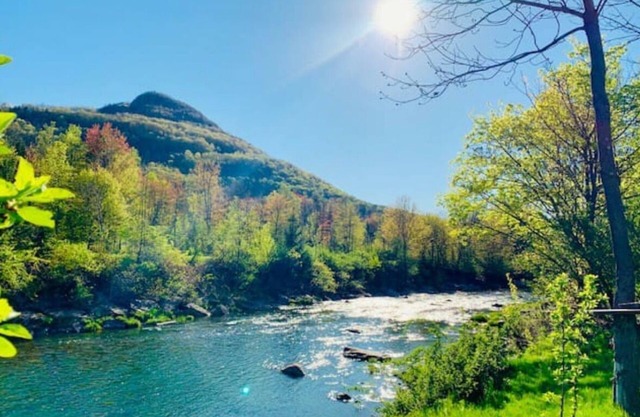 Cozy Hunter Mountain Cabin by the River