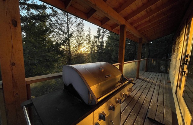 Cozy log cabin & studio on interlakes highway