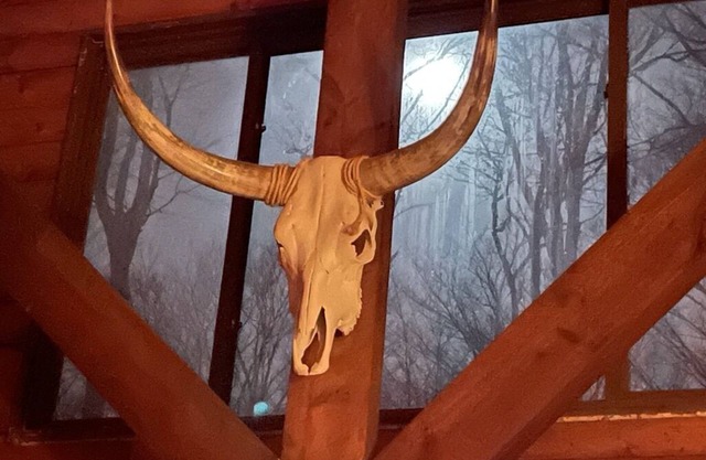 Cozy Log Home - NY Finger Lakes- Wineries, Hiking, Breweries, Distilleries