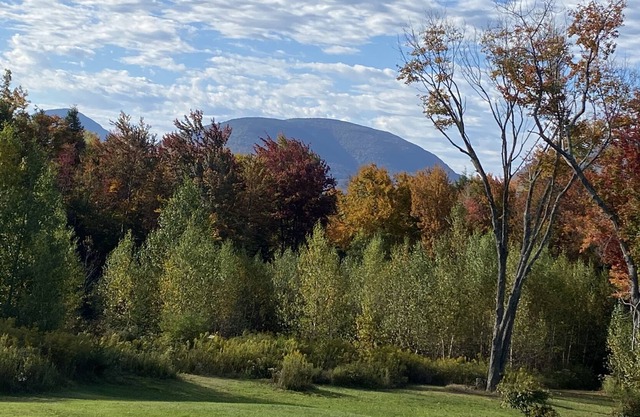 Cozy mountain retreat, perfect Catskills getaway