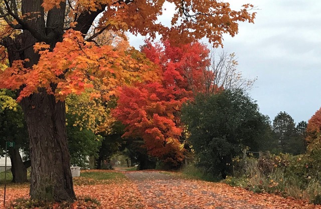 Cozy Nature Retreat 12 minutes from Peterborough- Perfect for Writers & Artists