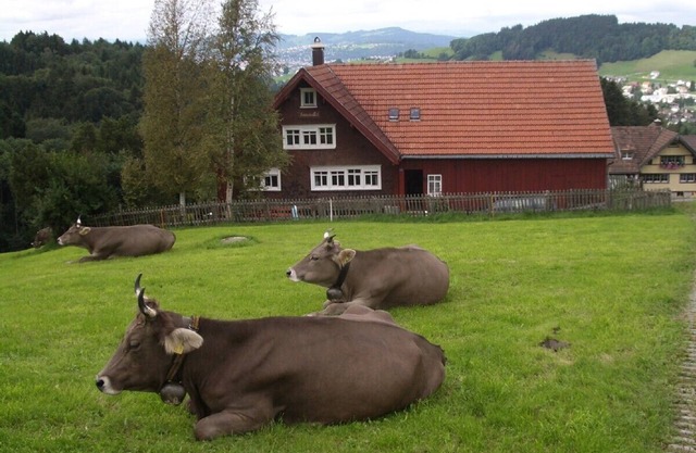 Cozy old Appenzeller farmhouse to live alone