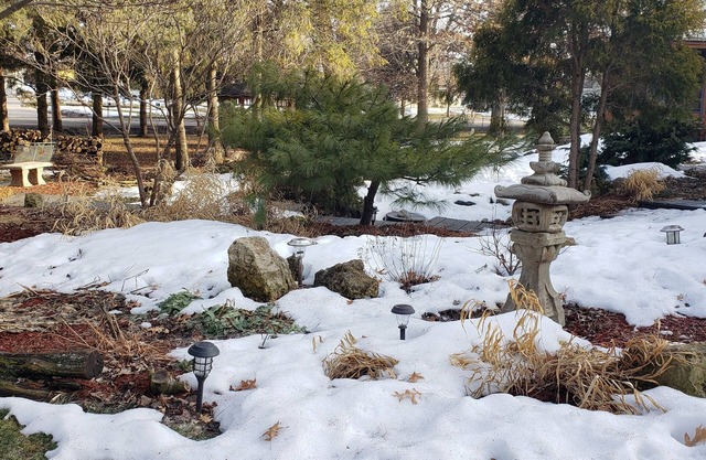Cozy older home, zen like garden. Pet friendly. Not for people with allergies.