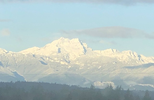 Cozy Olympic Mountain View Getaway