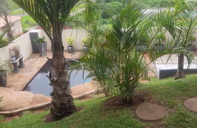 Cozy one bedroom suite, with a balcony, overlooking the pool and braai area.