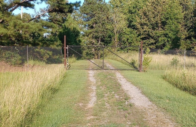 Cozy private cabin on 10 acres with 300+ feet of water front. Pet friendly.