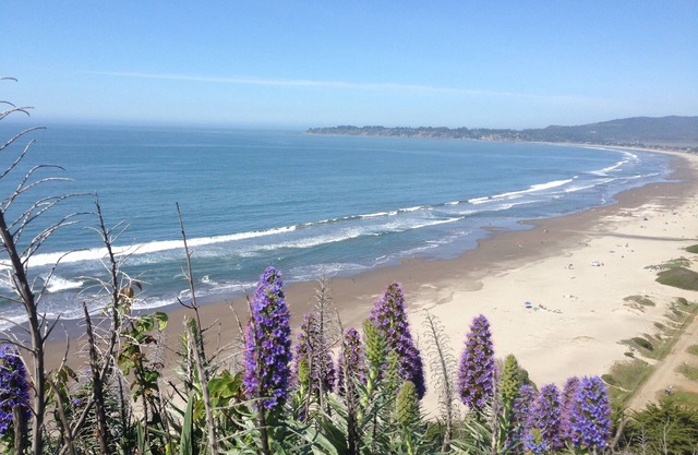 Cozy Quiet Cottage Close to Trails, Wine Country and SF!