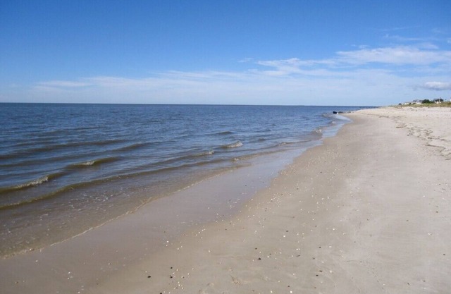 Cozy retreat, magnificent sunsets only 100 steps to the beach, Pets friendly!