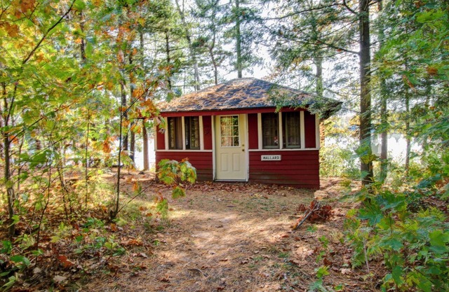 Cozy, rustic, Lakeside, Wisconsin Northwoods Cabin. Family & Pet Friendly!