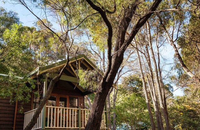 Cozy Studio Chalet perfect for couples and a veranda overlooking the bushland