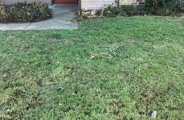 Cozy Town House in Arlington