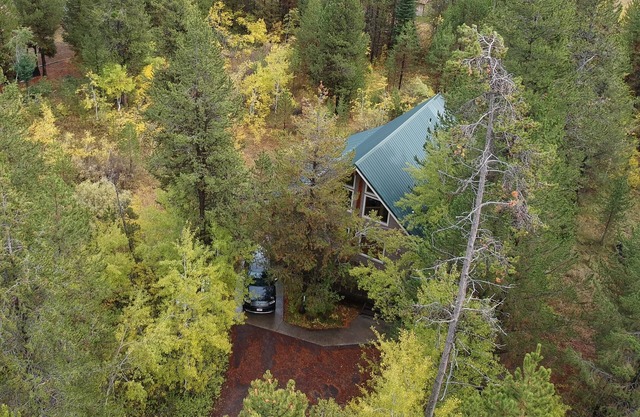 Cozy Vacation Cabin in Island Park