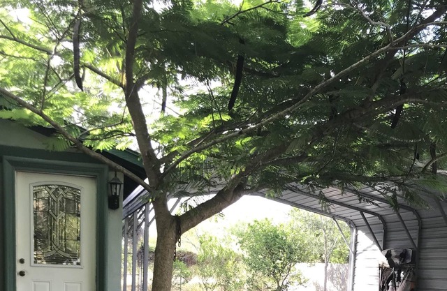 Cozy Waterfront Hideaway on the Road to SpaceX