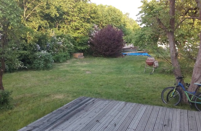 Cozy wooden house at the Lychener Seenkreuz with large garden and terrace