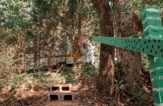 Creature Camp