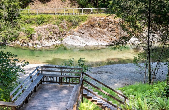 Creek-front Dreamwood cabin with deck, WiFi, wood-burning stove & private sauna