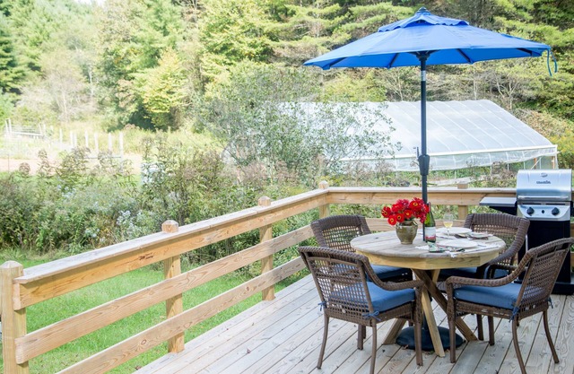 Creekside Cottage Near Floyd, VA, and Blue Ridge Parkway with deck and gas grill