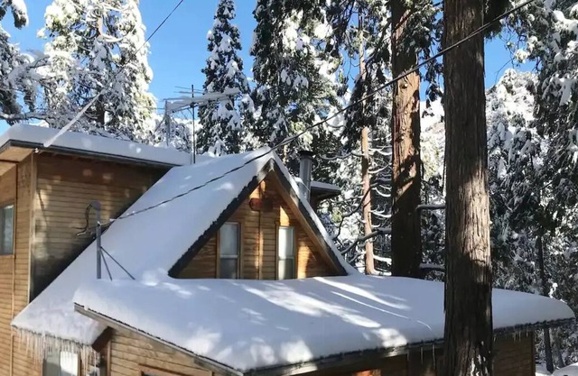 Critter Cabin - a mountain of fun and great trails