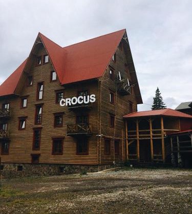 Crocus