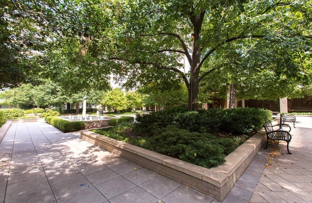 Crystal City Comfortable Apartments