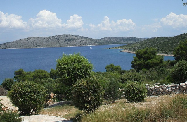 Curica Doma ground floor whole house