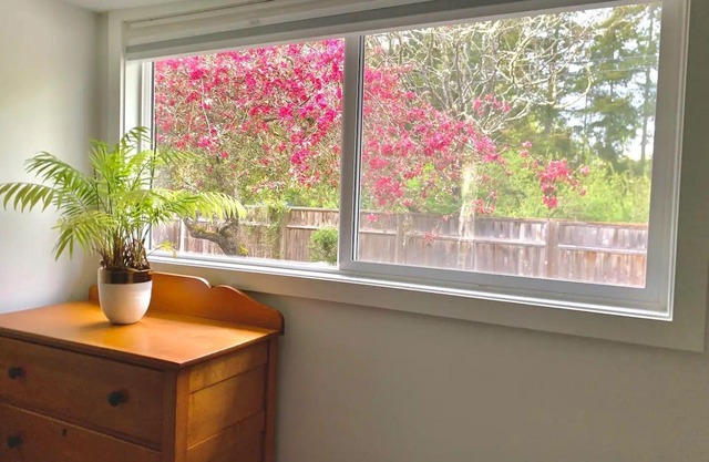 Cute & cozy Salt Spring Island cottage. 5 min walk to town & park trails.